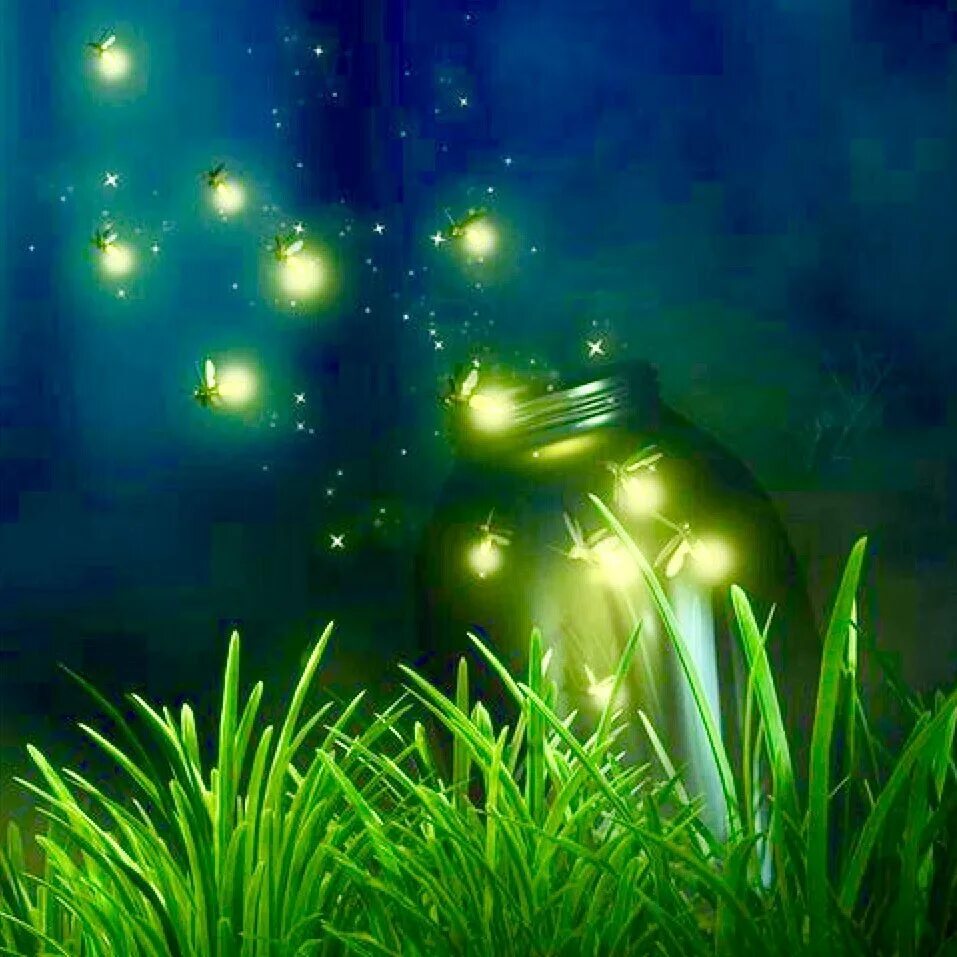 Светлячки фэнтези. Ева эльфи арт. Эльфийка пандора сага. Сказочная ночь. Светлячки бохоль.