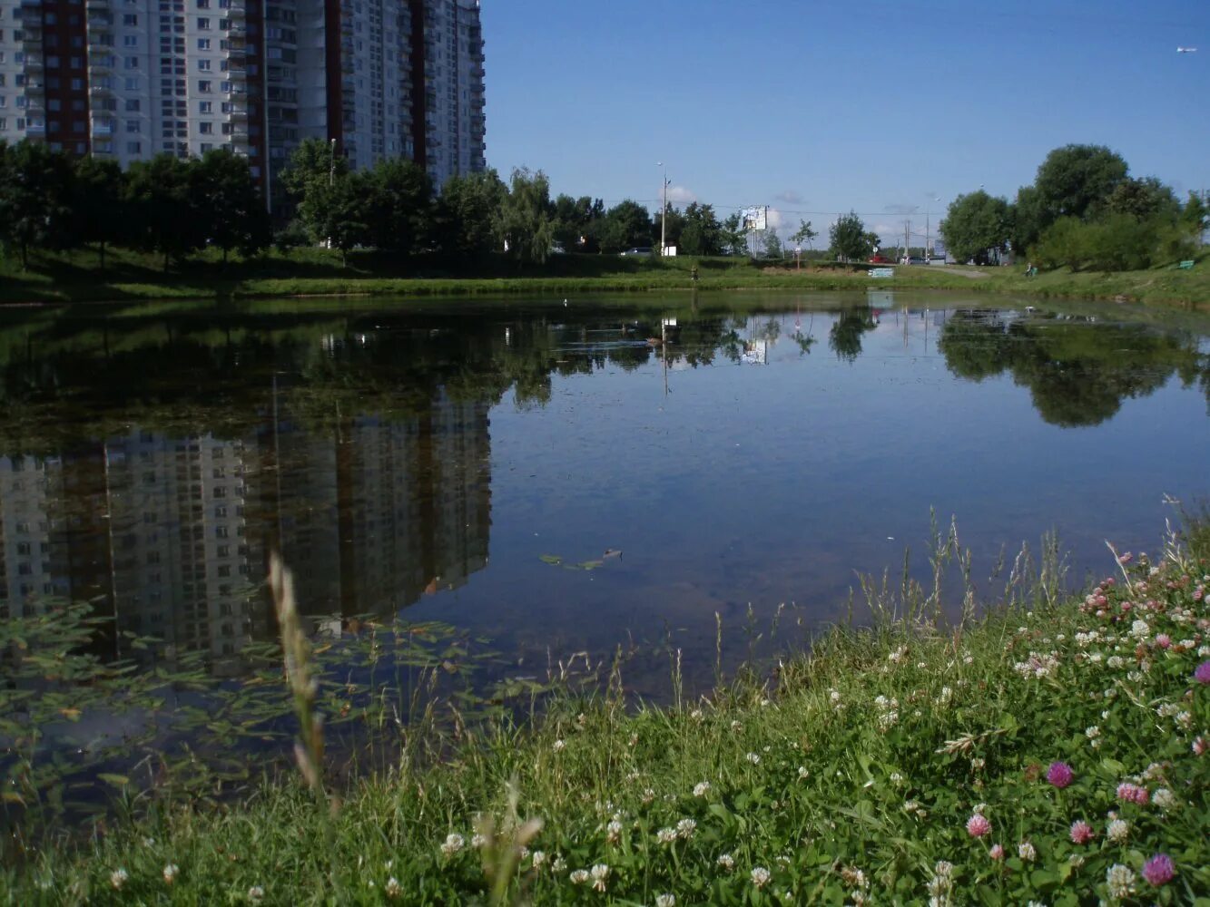 Г озера москва. Черное озеро Зеленоград. Парк у черного озера, Зеленоград. Москва Ясеневские пруды. Дунькин пруд Зеленоград.