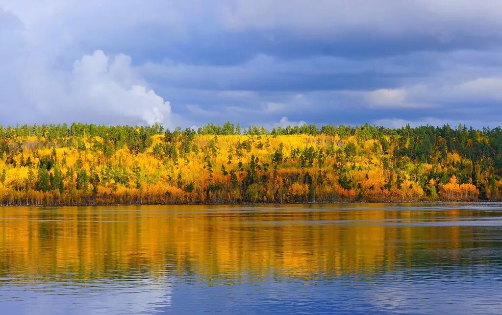 Тайга река Ангара. Сибирь Тайга Ангара Иркутск. Природа Братск Ангара. Природа Ангара Тайга. Сибирские увалы это горы