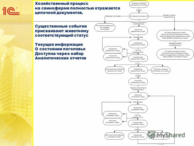 макет по экономике. процесс производства процесс снабжения. характерные черты экономических систем. организация хозяйственных связей в оптовой торговле. учет процесса производства и процесса реализации.