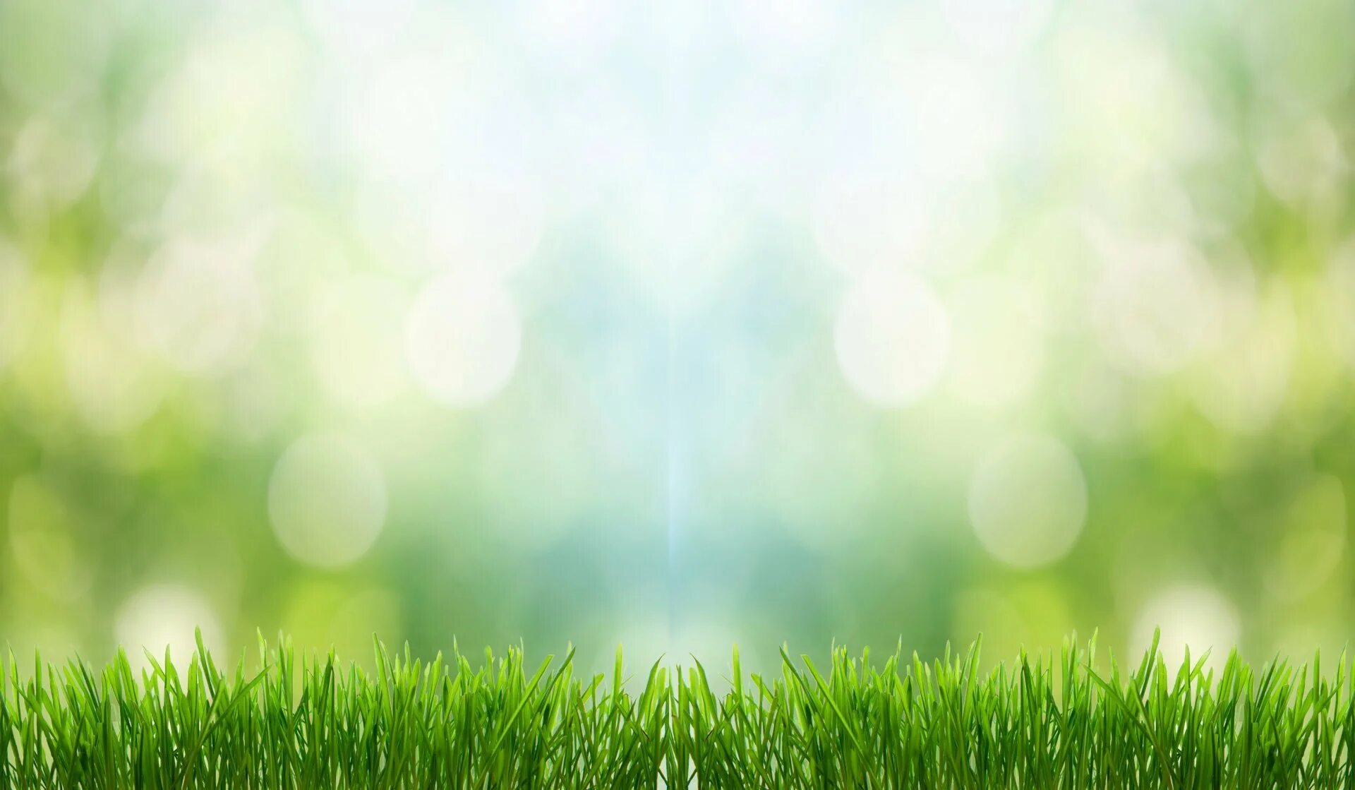 Зелёный успокаивающий цвет. Twist n fresh tupperware. Трава фон. Эко сканди в интерьере. Растения на белом фоне.