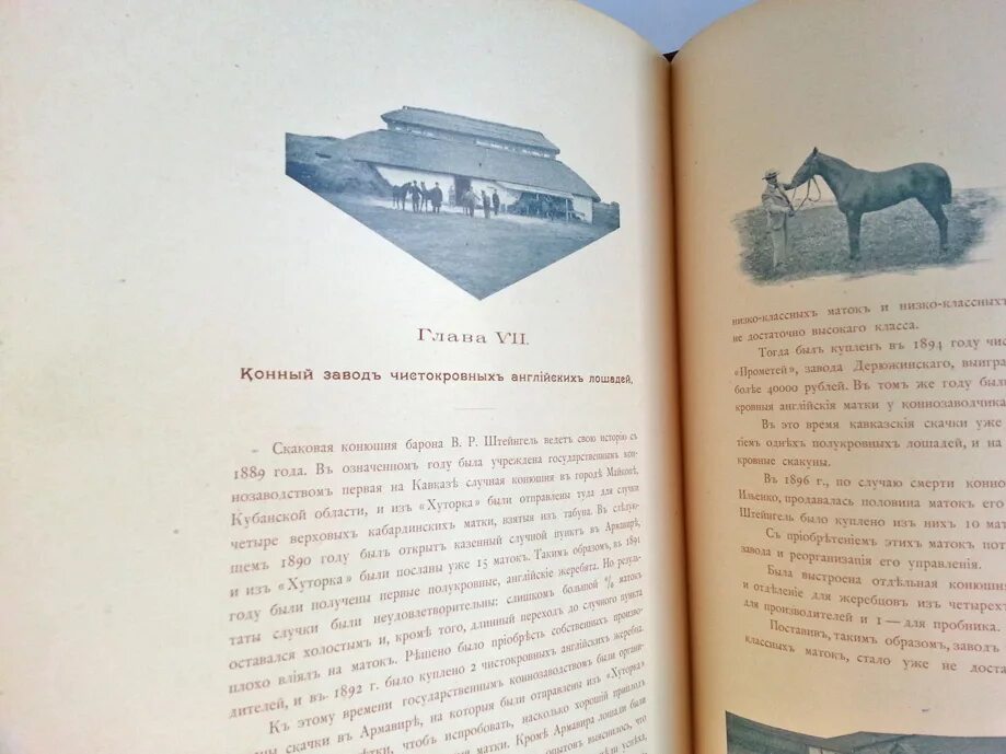 Литовский хуторок краткое содержание. Образцовое имение хуторок. хуторок книга. описание кубанского имения &quot;хуторок&quot;. иллюстрации к описанию имения хуторок котова.