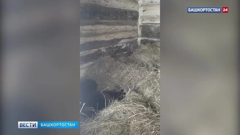 Атака на башкирию