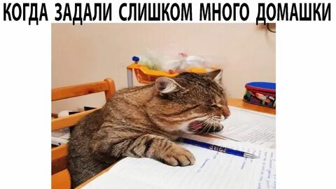 Дезмораль