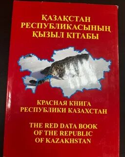 Жыныс мүшесі анусқа түсіп кетті