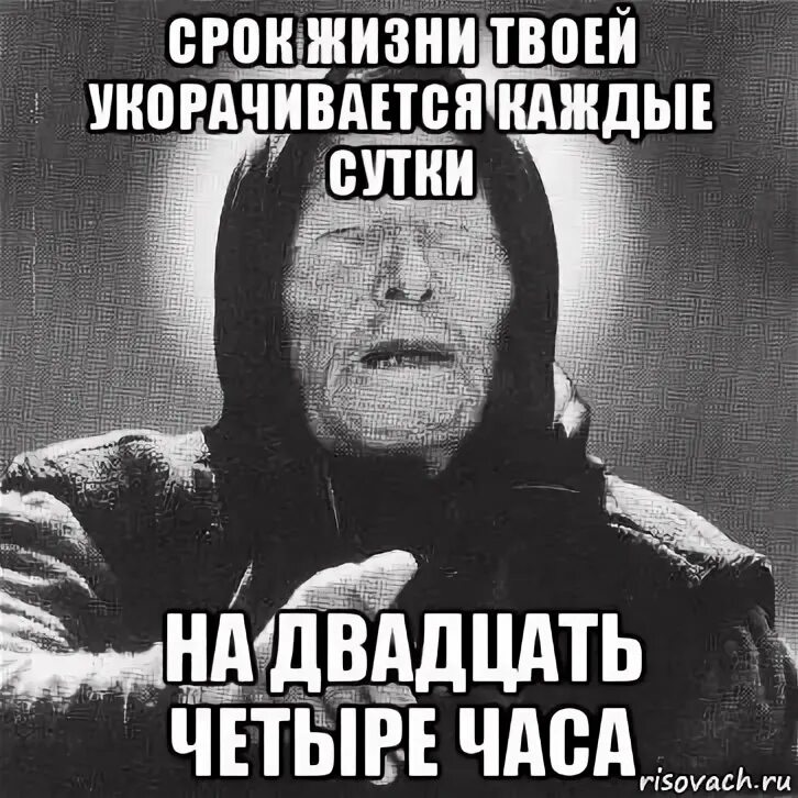 Популярные мемы и шаблоны: что скрывается за цифрами 4.19 и 4.20? Мир в фокусе 2