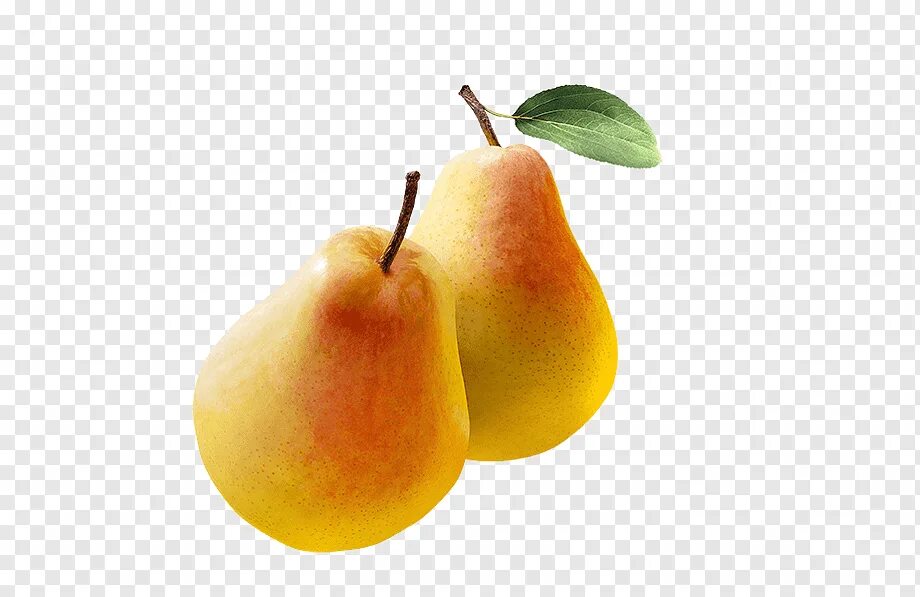 2 груши. Груши пакхам аргентина. 2 груши. 2 груши. Груша дюшес вильямс.