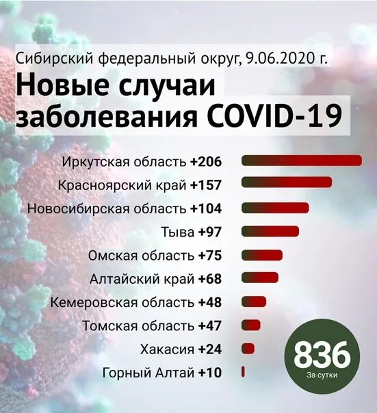 Ковид статистика башкирии. Статистика. ковид 19. статистика по ковид на сегодня.