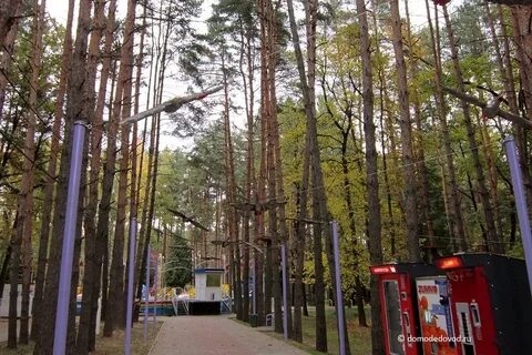 Автобус до парка елочки домодедово