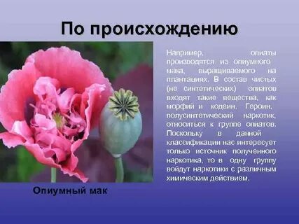 Нужен ли мак