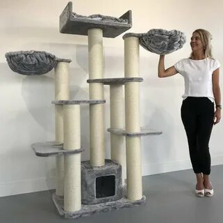Когтеточка для куна
