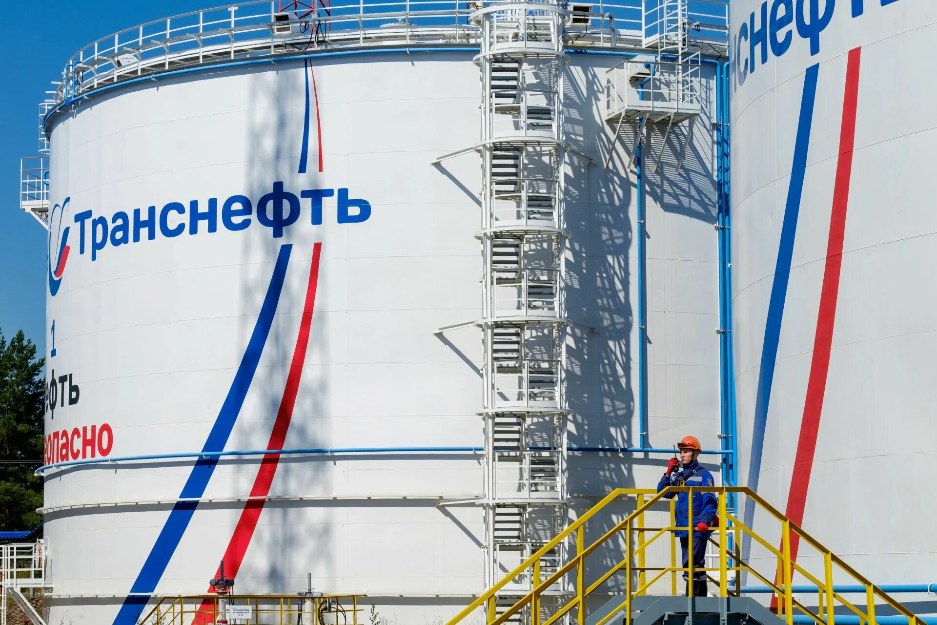 Акционерные общества транснефти