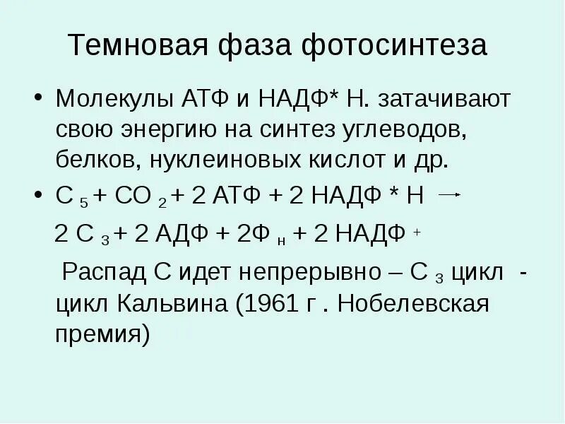 Снабжает темновую фазу энергией. Образование АТФ И НАДФ*н2. Окисление НАДФН происходит. НАДФ н2 молекулы АТФ. Окисление НАДФ н2 какая фаза.