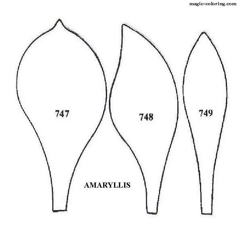 Форма листьев лилии. Лекало для цветов из бумаги. Трафарет лепестков. Трафареты лепестков цветов. Лекало лепестков цветов.