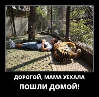 Уезжать пошло