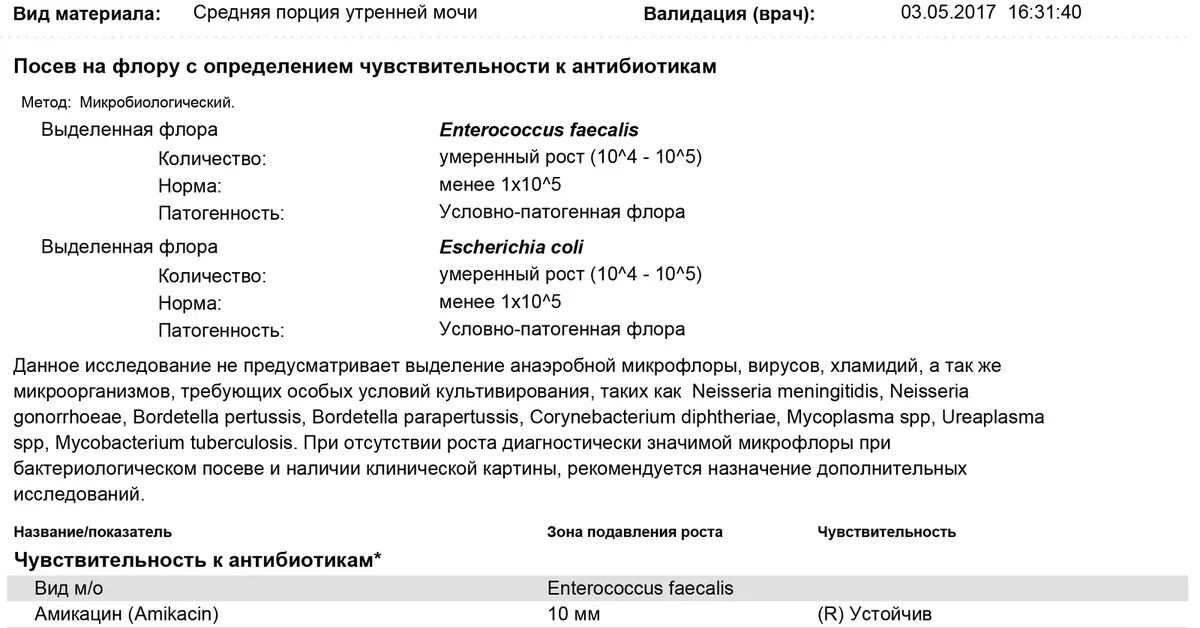 Посев мазка на микрофлору. Посевы ЛОР органов на микрофлору расшифровка. Бактериологическое исследование мазка из зева расшифровка. Посев и зева на флору чувствительность к антибиотикам. Нормы мазка из зева на микрофлору.