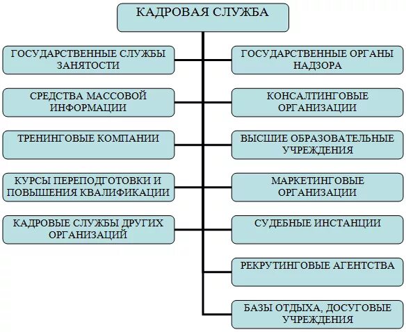 Служба организации. Организация кадровой службы организации. Функции кадровой службы. Кадровая служба предприятия. Взаимодействие с кадровой службы.