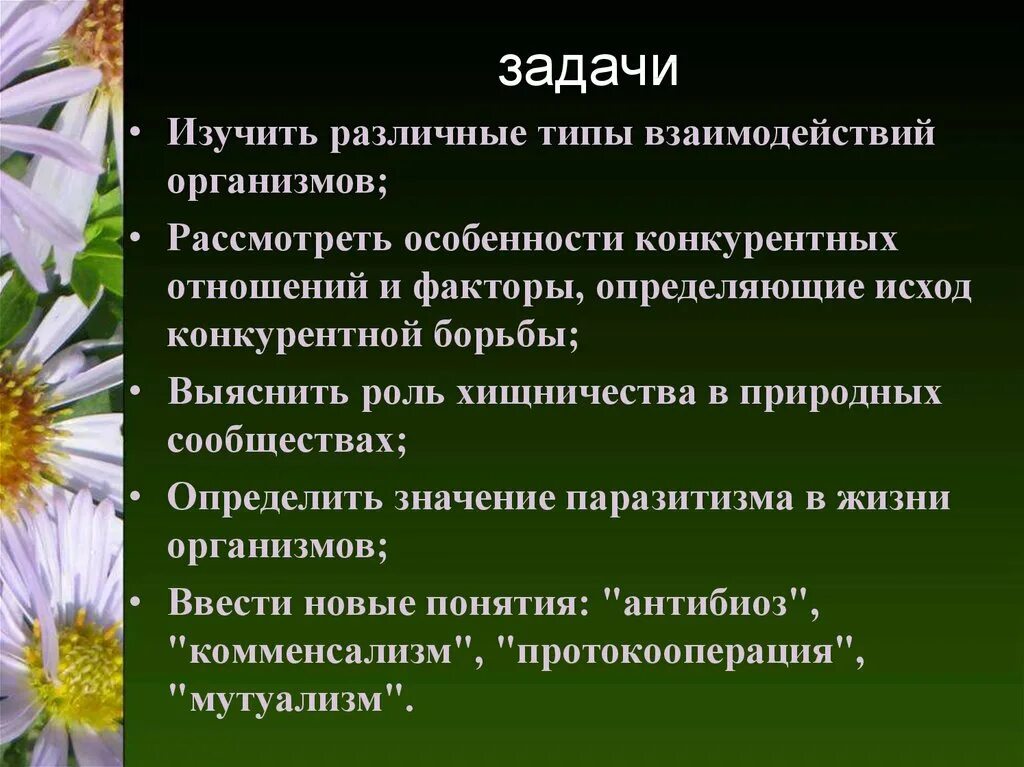 Типы взаимодействий разных видов. Типы взаимоотношений между организмами. взаимоотношения организмов вывод. типы взаимодействия живых организмов в природном сообществе. презентация на тему типы взаимодействия организмов.