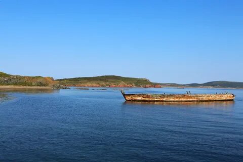 Остров рейнеке приморский