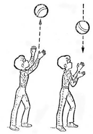 Бросание и ловля. Бросание мяча вверх и ловля его двумя руками. Броски мяча вверх и ловля его двумя руками.. Подбрасывание мяча вверх и ловля его. Подбрасывание мяча вверх двумя руками для дошкольников.