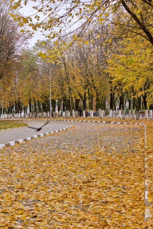 Яковлева Александра Международный творческий конкурс "Осенняя зарисовка"