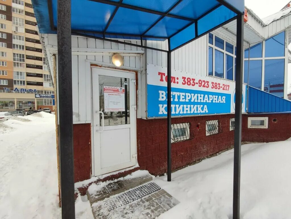 Показ фильма "Хатико: Самый верный друг" 2019, Подольск - дата и место проведени