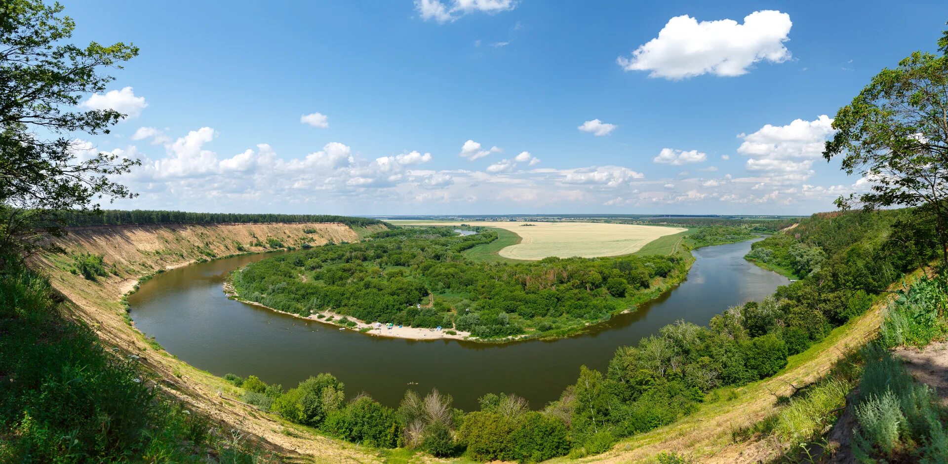 Урочище Кривоборье. Река Дон Кривоборье. Лысая гора Кривоборье. Кривоборье Воронежская область подкова.