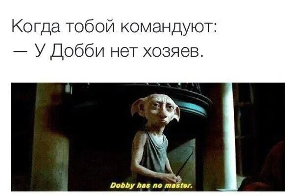 Почему не спасли добби. Добби хозяин. добби с носком. добби свободен. хозяин добби свободен.