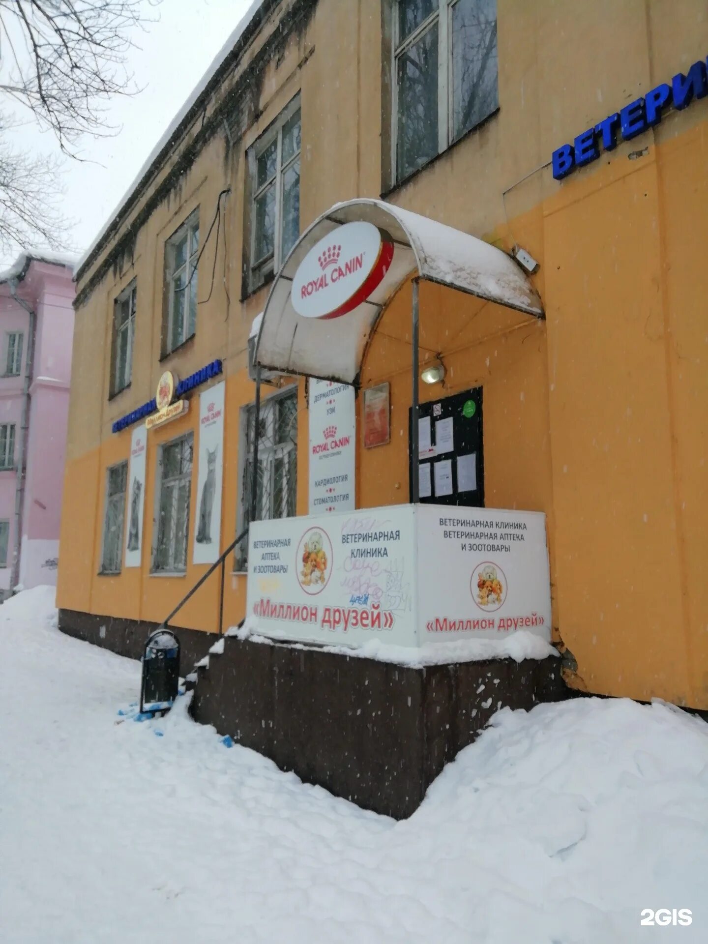Миллион друзей ярославль лисицына. Миллион друзей ярославль лисицына ветеринарная клиника. миллион друзей ветеринарная клиника ярославль. миллион друзей ярославль. миллион друзей ярославль телефон.