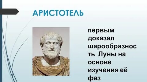 Аристотель впервые