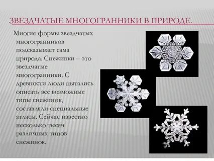 Правильные многоугольники в жизни