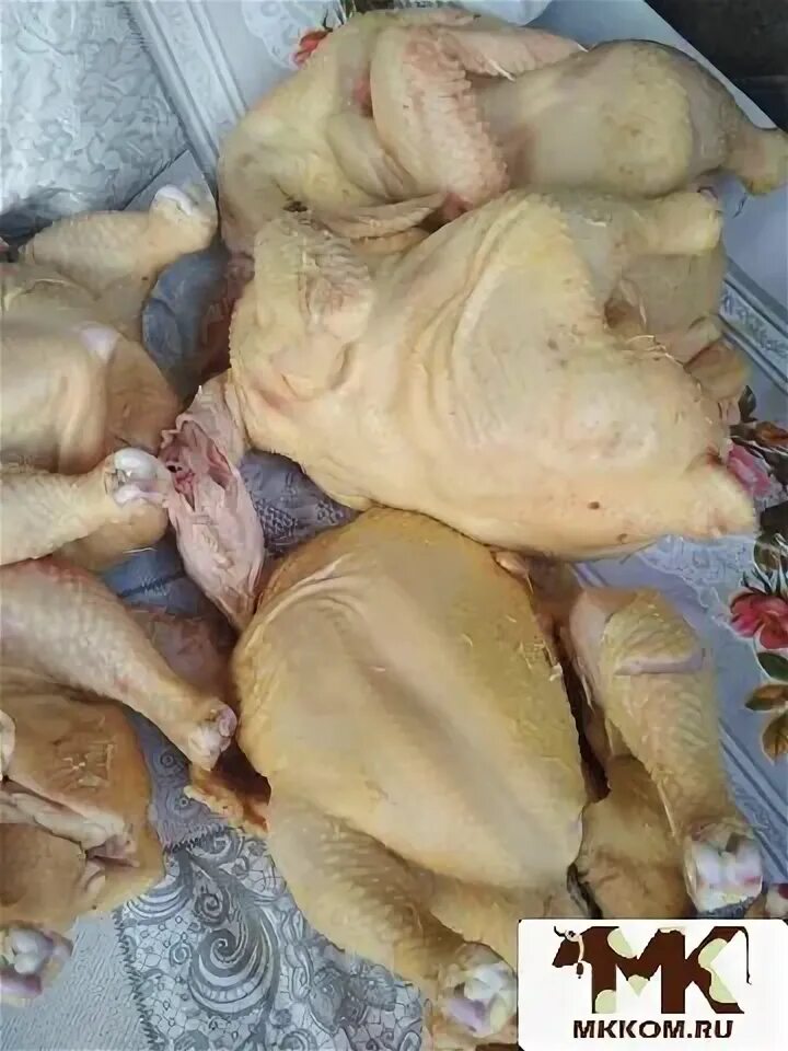 Куры домашние Халяль. Дагестанские куры. Домашнее курица хальял. Мясо курицы Халяль.
