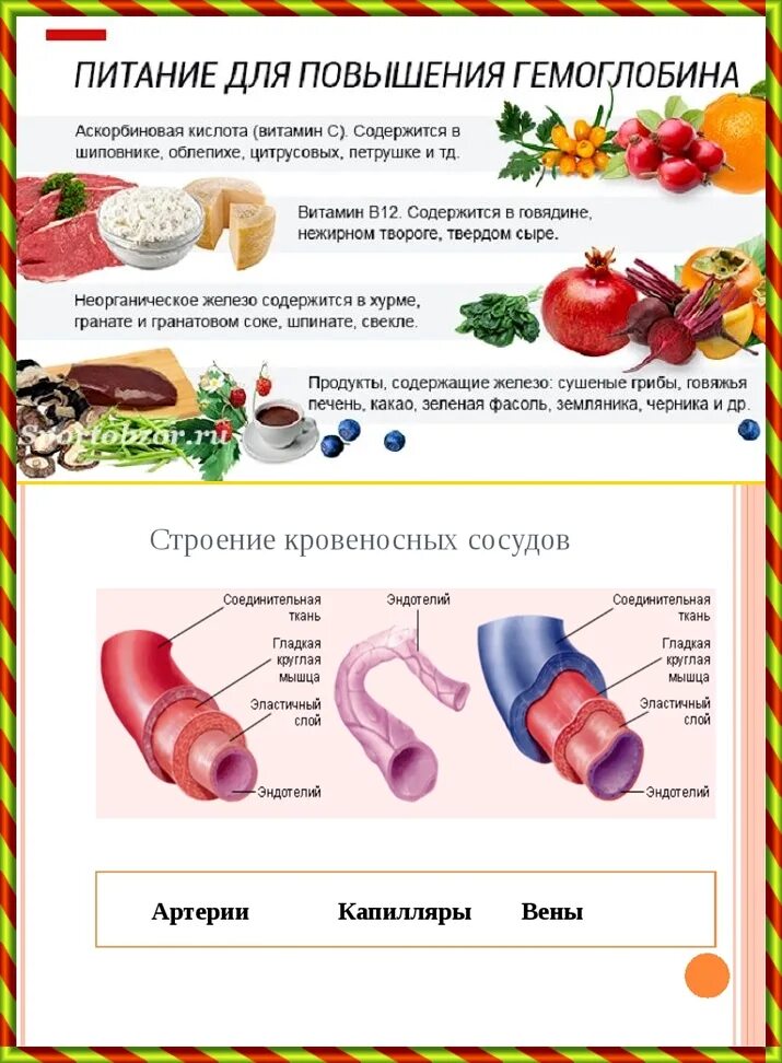 Продукты для гемоглобина в крови у мужчин. Пища повышающая гемоглобин. Продукты для повышения гемоглобина. Продукты для подъема гемоглобина. Продукты с высоким гемоглобином.