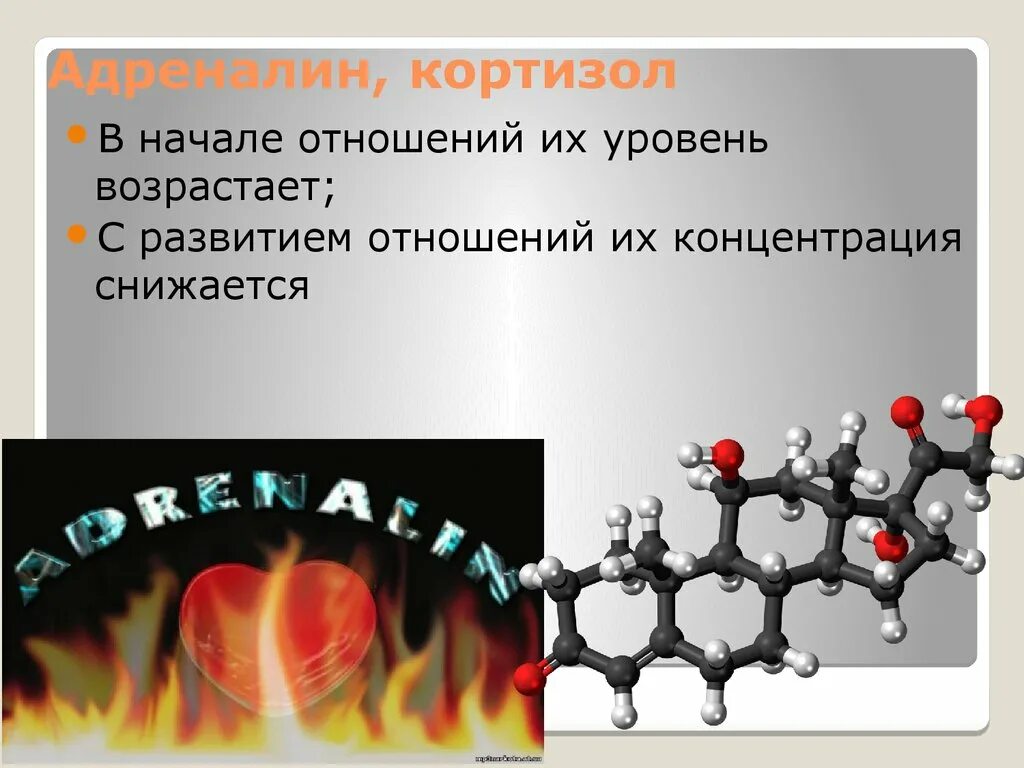 Гормоны стресса. Адреналин действие на организм. Надпочечники адреналин. Влияние гормонов стресса на организм. Адреналин и кортизол.