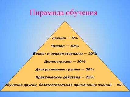 Как называется наука изучающая обучение взрослых