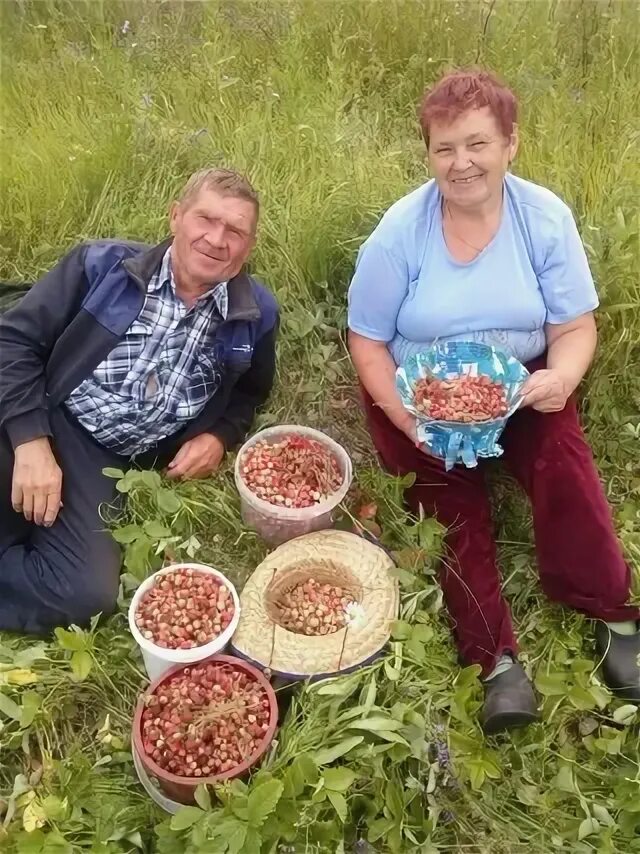 Радуга мензелинск. Гурьянова мензелинск. Гурьянова мензелинск. Гурьянова мензелинск. Гурьянова мензелинск.