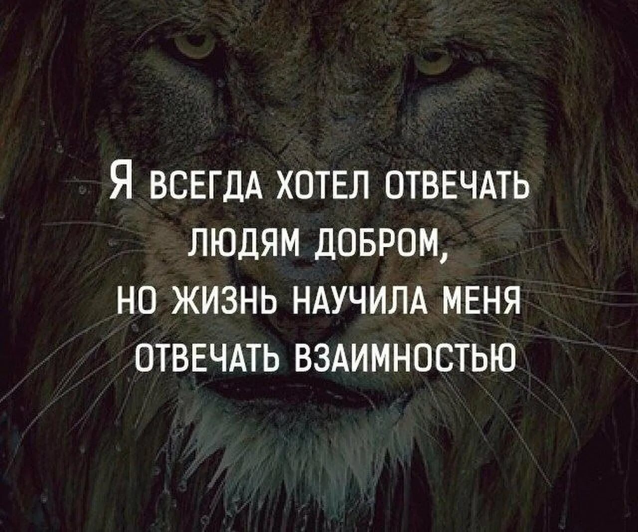 Я всегда хотела отвечать людям добром но жизнь научила. Жизнь научила отвечать взаимностью. Сильные цитаты. Цитаты про злых людей со смыслом.