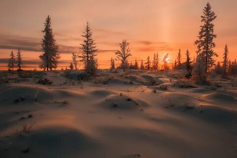 Природа севера картинки