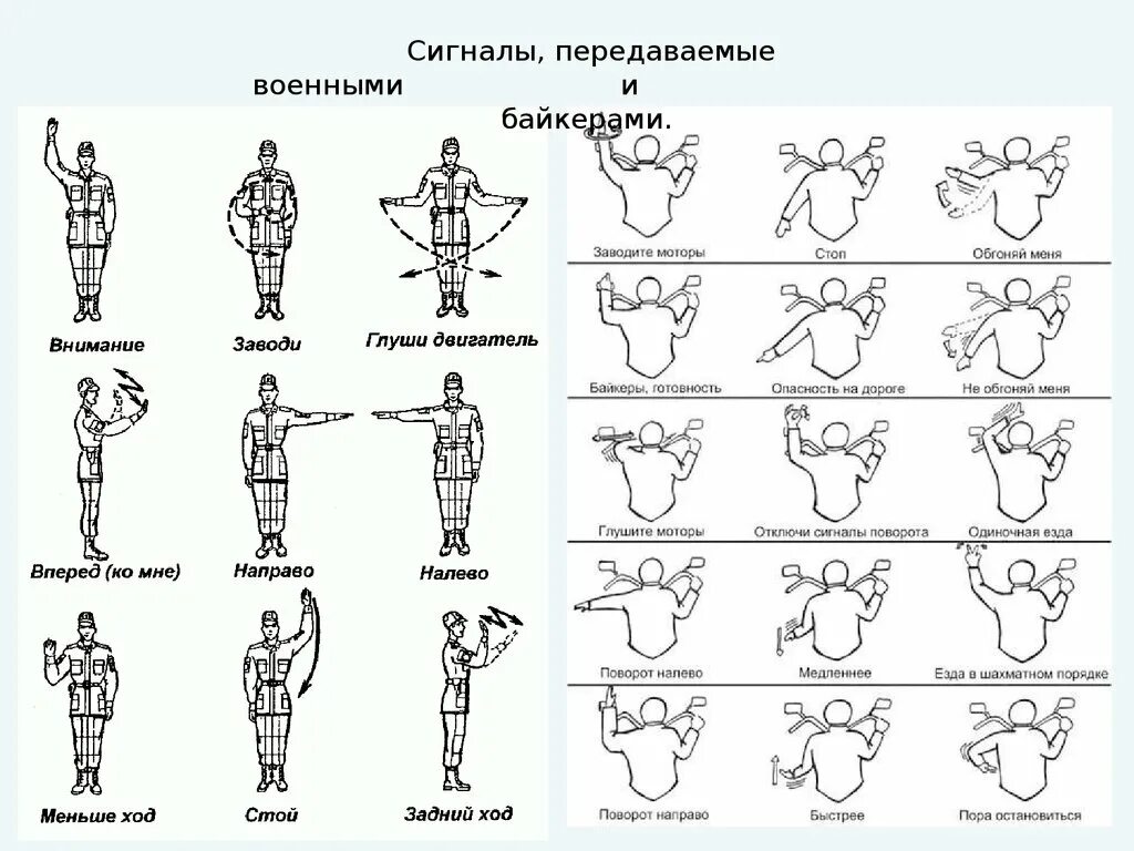 Сигналы команды. Сигналы управления автомобилем. сигналы управления флажками. сигналы управления жестами. сигналы управления машиной.