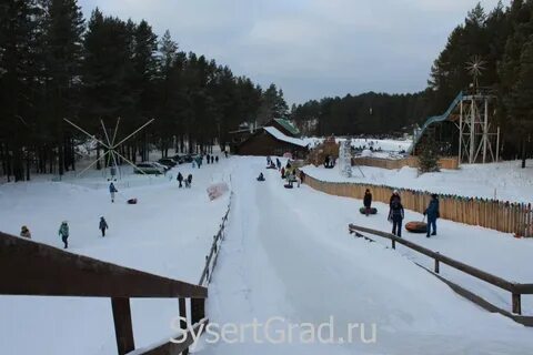 Сова кашино