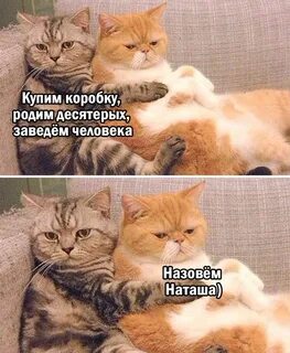 Что может заводить в человеке
