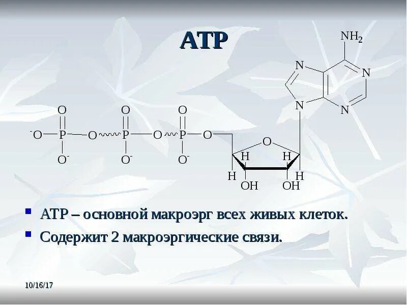 Макроэрги. Макроэргические соединения строение. Макроэргические соединения таблица. Макроэрги строение таблица. Макроэргические соединения биохимия.