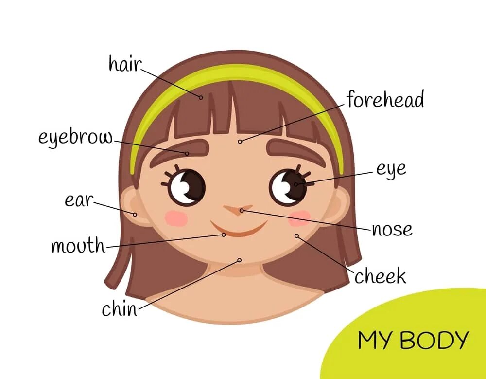 Лоб перевод. Face and body Parts for Kids. Parts of my face. My face картинки для детей. My face and body.