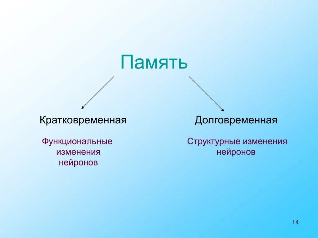 Долговременная и краткосрочная память. Кратковременная память и долговременная память. Виды долговременной памяти. Кратковременная долговременная и Оперативная память. Чем отличаются виды памяти