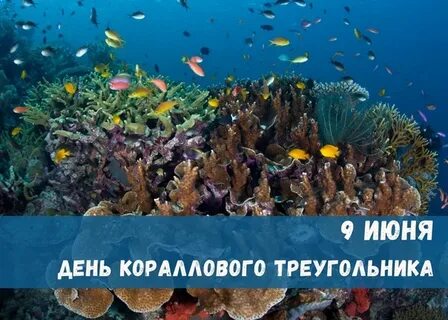День кораллов
