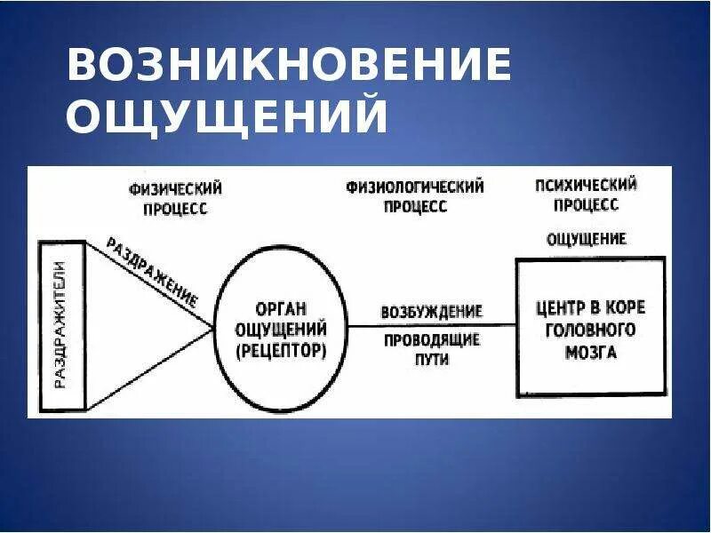 Возникновение ощущений схема. Формирование ощущений. Этапы возникновения ощущения. Добавочное возникновение ощущений это.