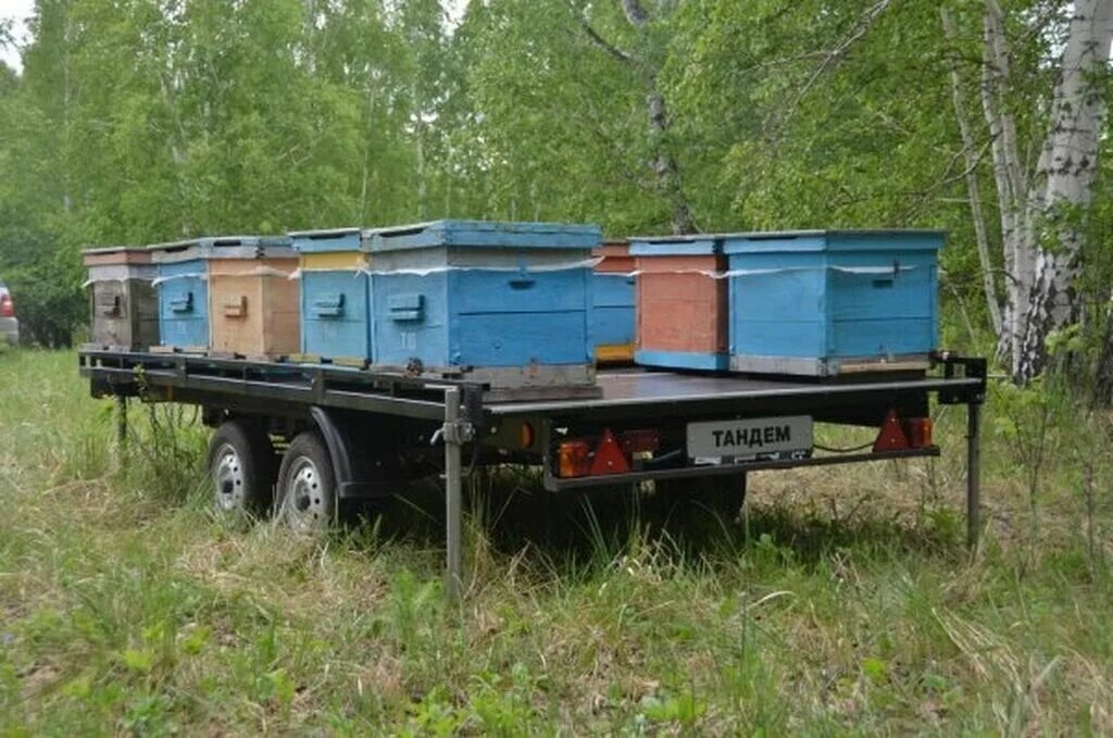 Прицеп улей. Прицеп пчеловодческий платформа орион 9. прицеп пчеловод орион-9 с удлиненной платформой. прицеп для пасеки 2025. уфимский пчеловодный прицеп.