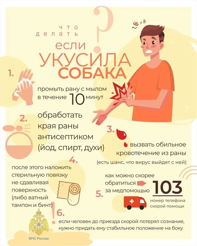 Если собака укусила человека что делать. Чтделатукуксила собак. Если собака укусила человека что делать. Если тебя укусила собака. Что делать если собака укусила человека.