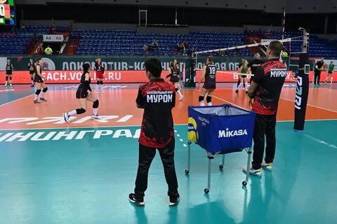 Игра чемпионат волейбол