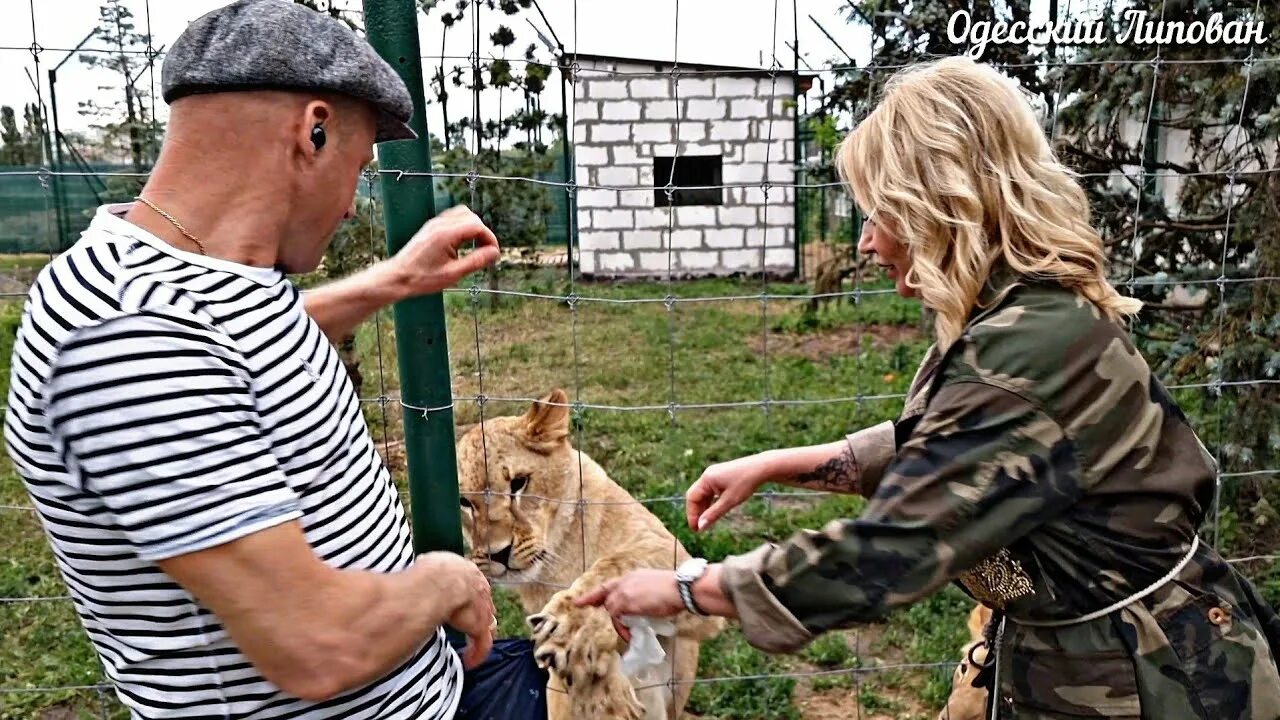 Новое видео одесского липована. Одесский липован. Одесский липован ютьюб.